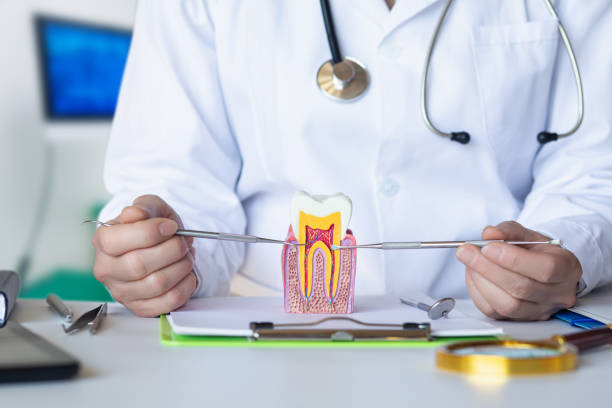 Best Pediatric Emergency Dentist in Oakland, PA